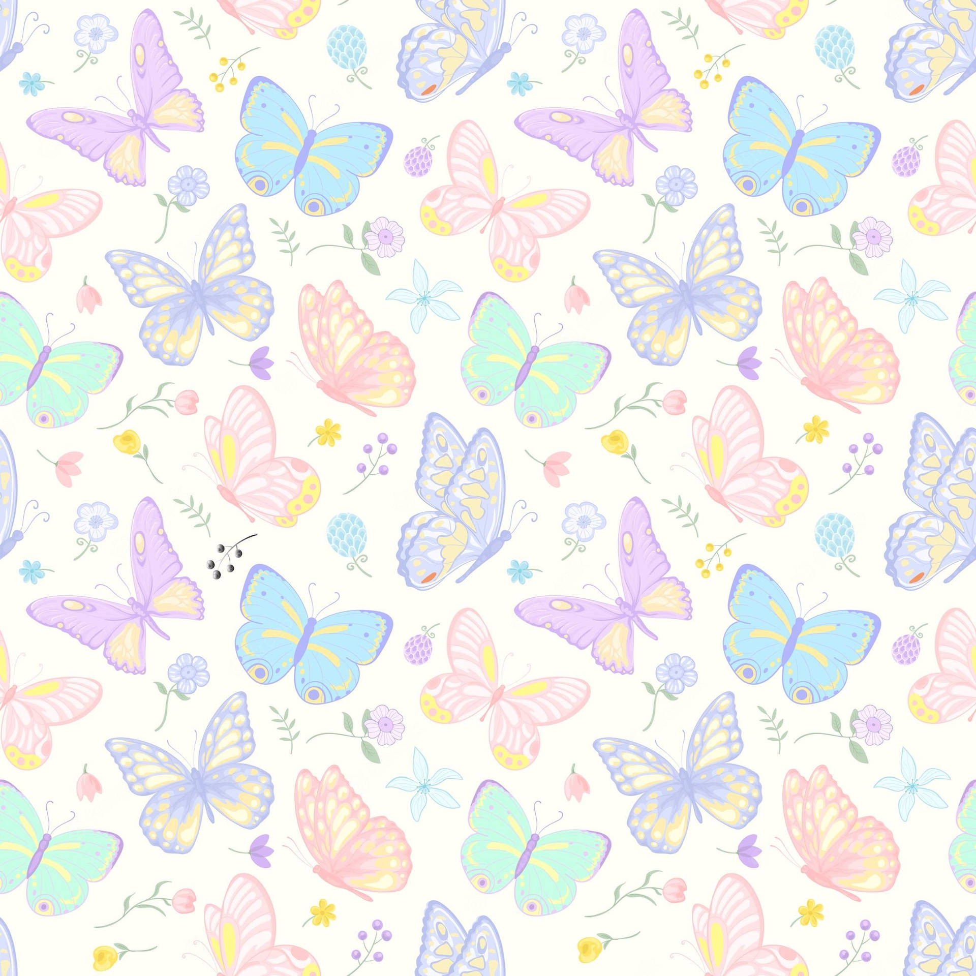 papel de parede com borboleta — foto 11