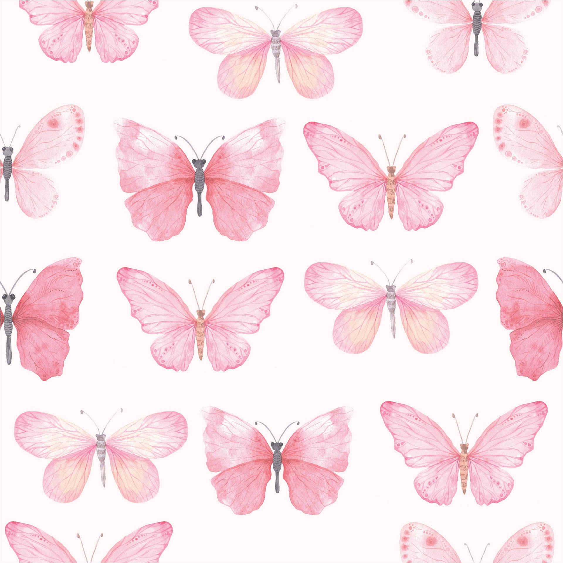 papel de parede com borboleta — foto 12