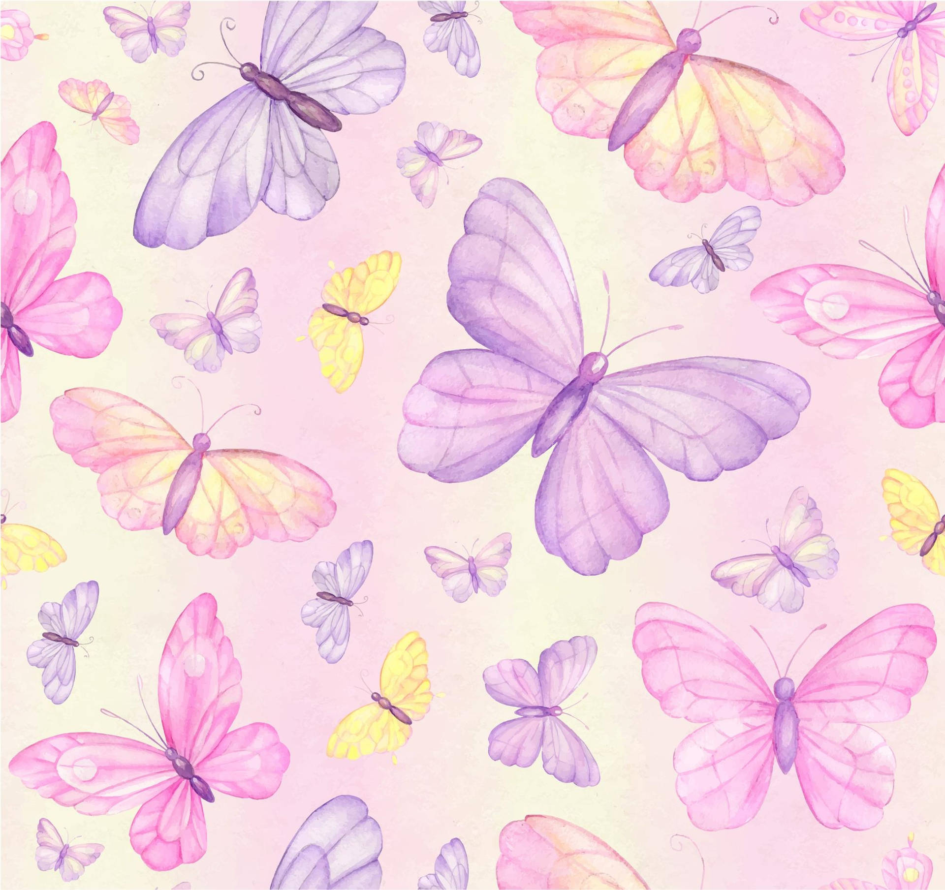 papel de parede com borboleta — foto 7