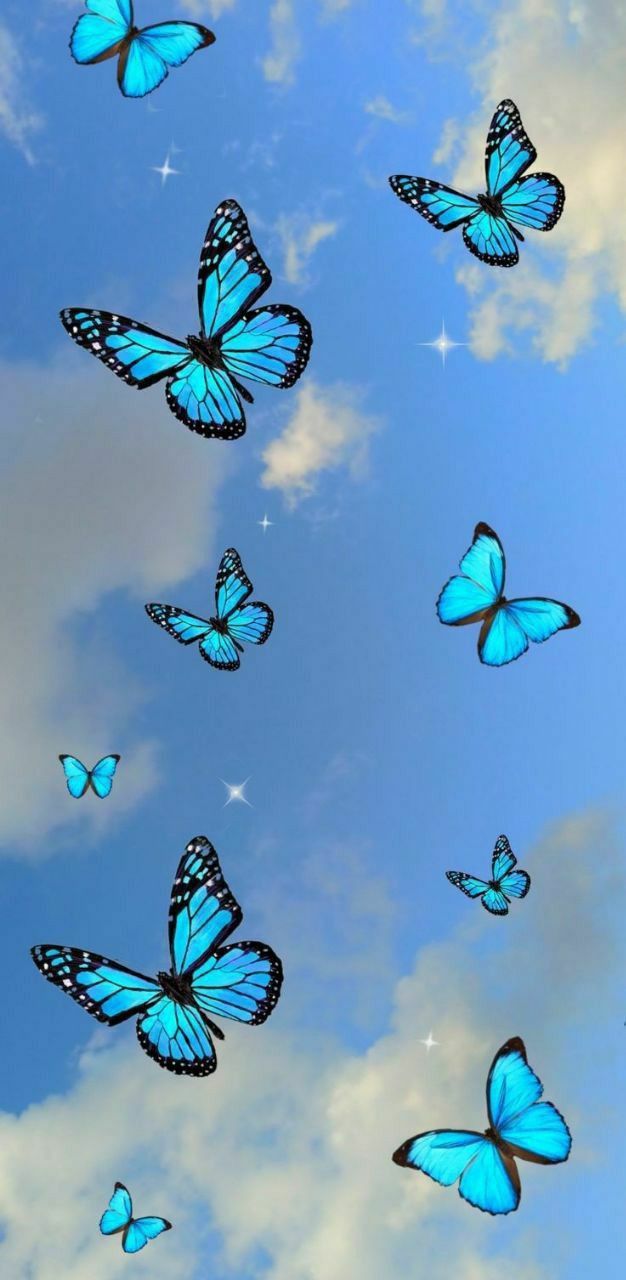 papel de parede com borboleta — foto 8