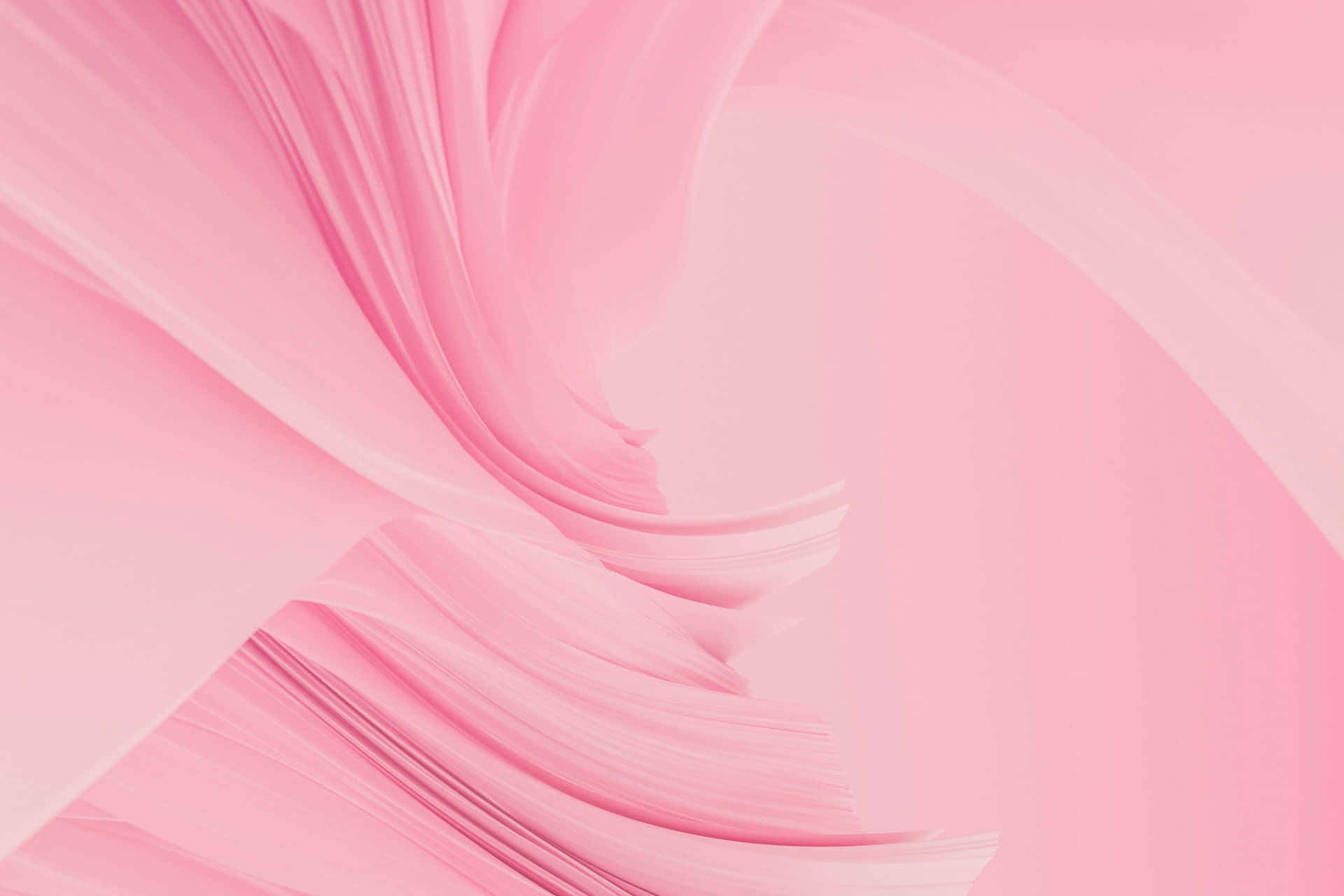 papel de parede rose — foto 2